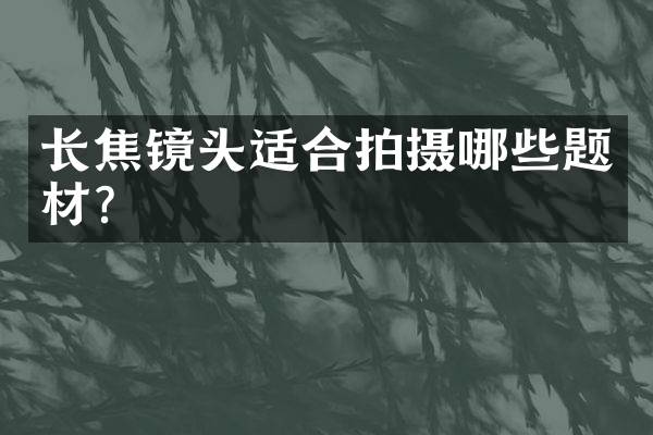 长焦镜头适合拍摄哪些题材？