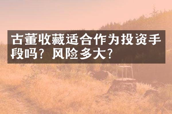 古董收藏适合作为投资手段吗？风险多大？