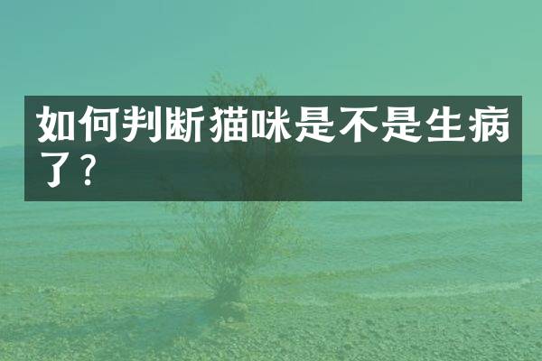 如何判断猫咪是不是生病了？