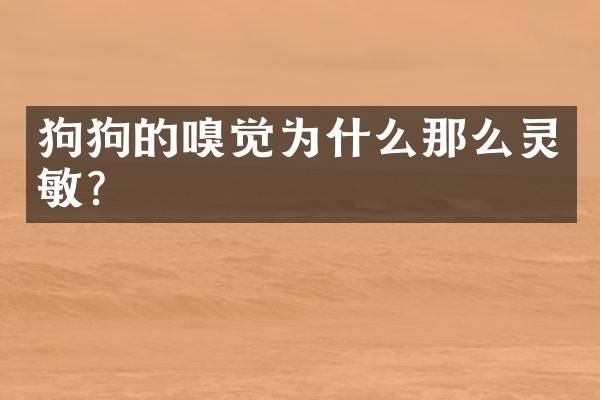 狗狗的嗅觉为什么那么灵敏？