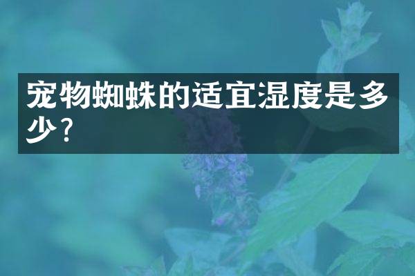 宠物蜘蛛的适宜湿度是多少？