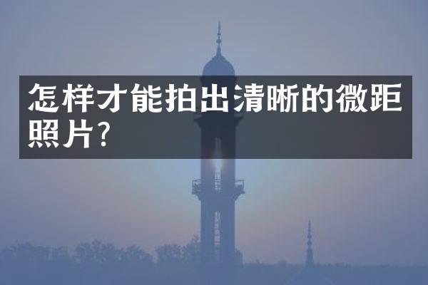 怎样才能拍出清晰的微距照片?