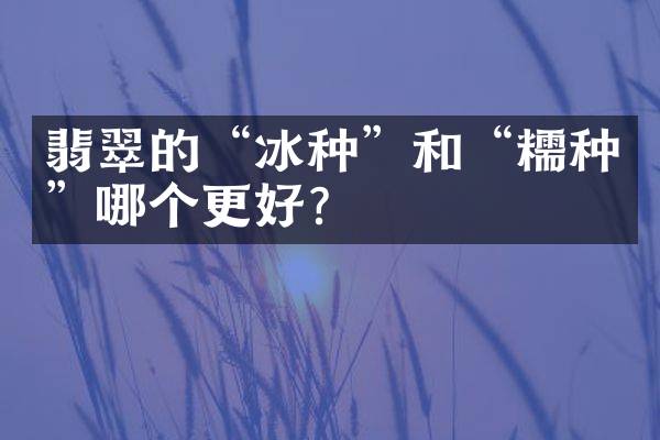 翡翠的&ldquo;冰种&rdquo;和&ldquo;糯种&rdquo;哪个更好？