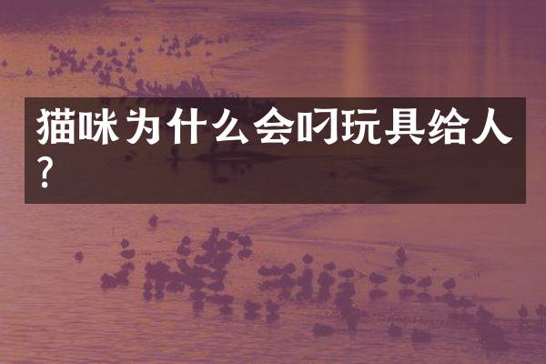 猫咪为什么会叼玩具给人？