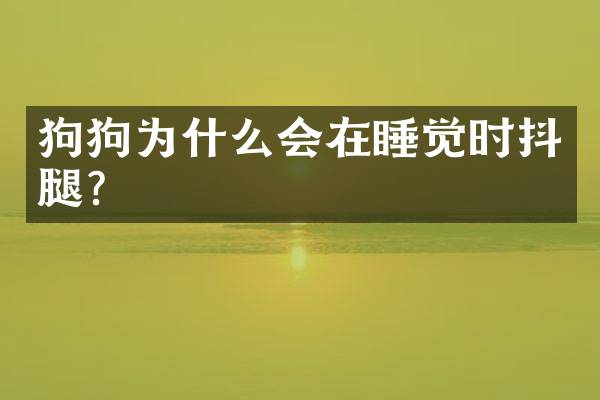 狗狗为什么会在睡觉时抖腿？
