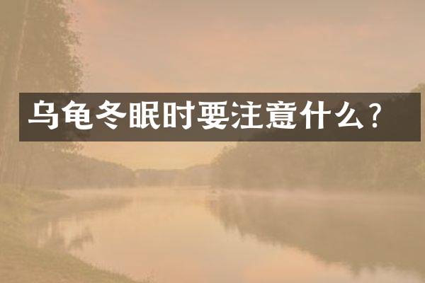 乌龟冬眠时要注意什么？