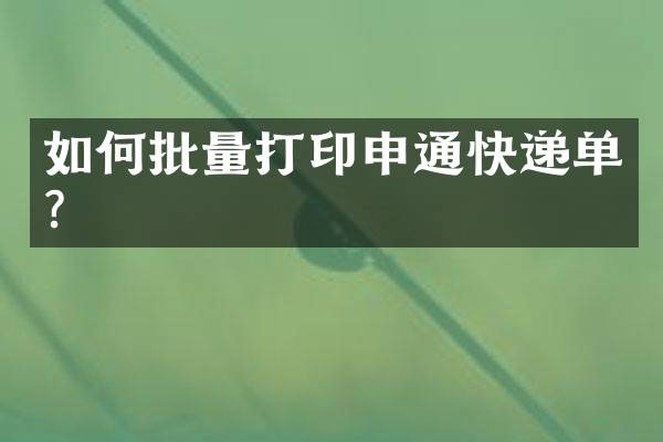 如何批量打印申通快递单？