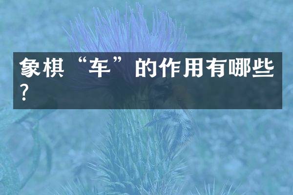 象棋“车”的作用有哪些？