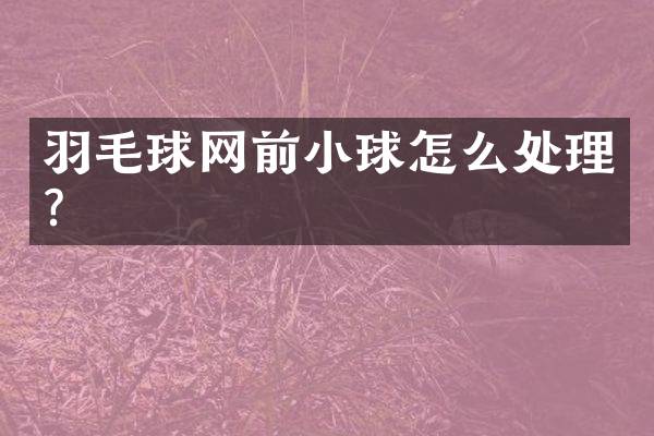 羽毛球网前小球怎么处理？
