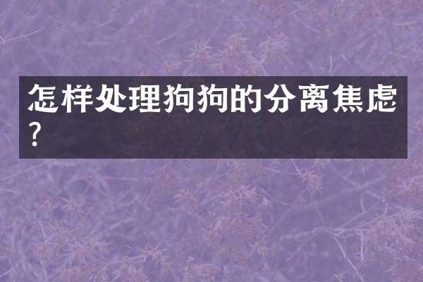 怎样处理狗狗的分离焦虑？