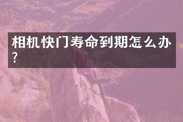 相机快门寿命到期怎么办？