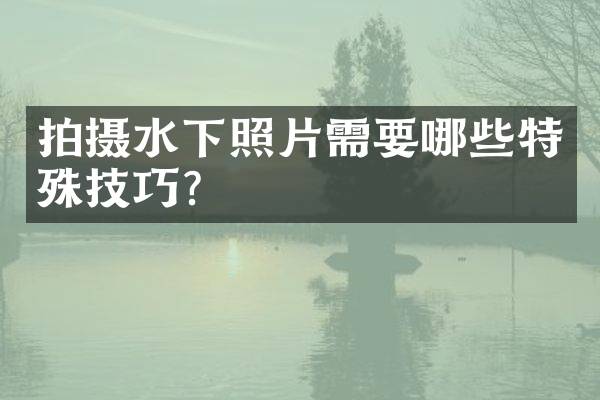 拍摄水下照片需要哪些特殊技巧？