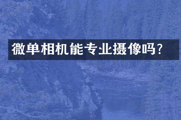 微单相机能专业摄像吗？