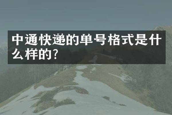 中通快递的单号格式是什么样的？