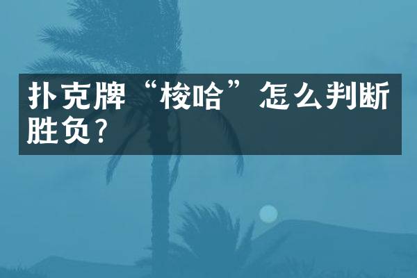 扑克牌“梭哈”怎么判断胜负？