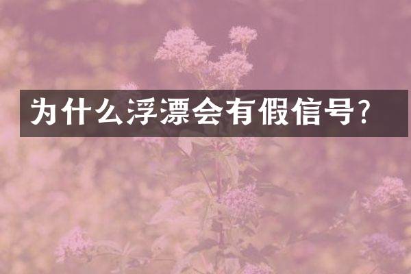 为什么浮漂会有假信号？