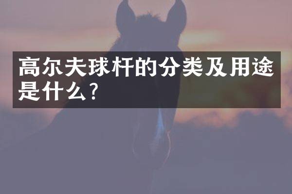 高尔夫球杆的分类及用途是什么？