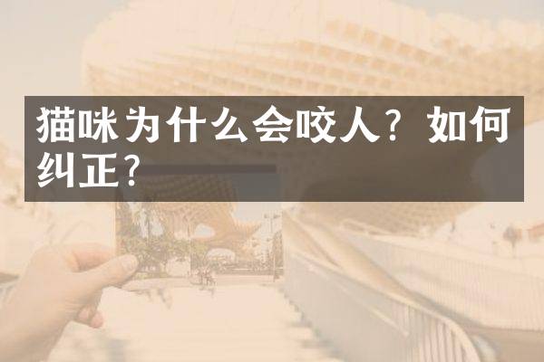 猫咪为什么会咬人？如何纠正？