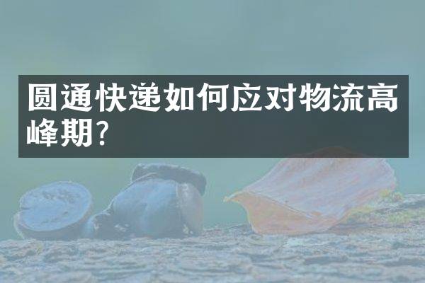 圆通快递如何应对物流高峰期？