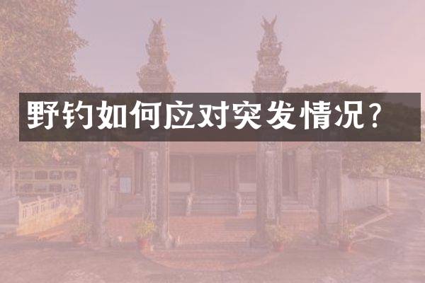 野钓如何应对突发情况？