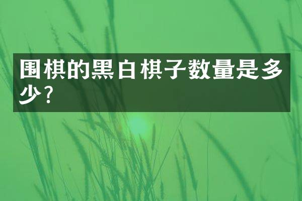 围棋的黑白棋子数量是多少？