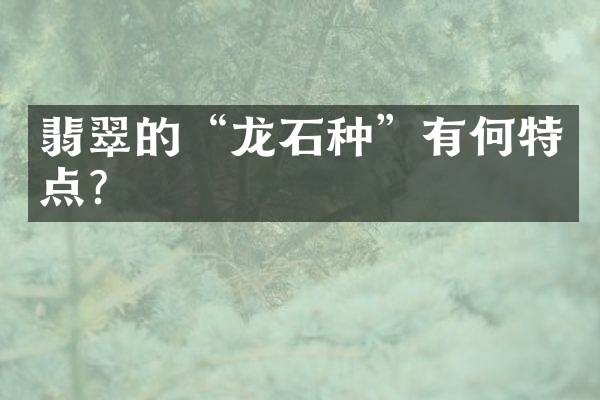 翡翠的“龙石种”有何特点？