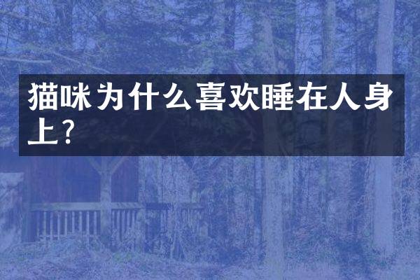 猫咪为什么喜欢睡在人身上？