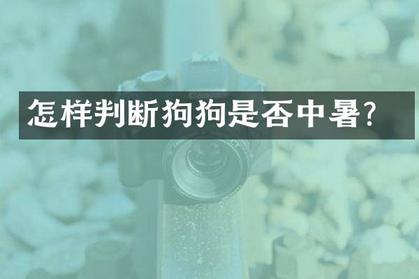 怎样判断狗狗是否中暑？