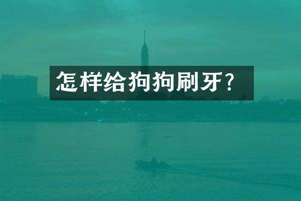 怎样给狗狗刷牙？