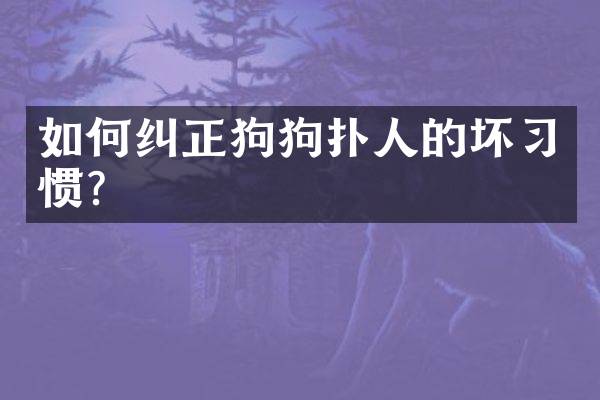 如何纠正狗狗扑人的坏习惯？