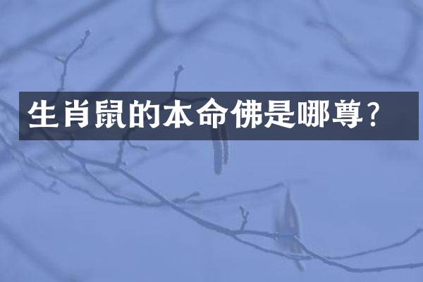 生肖鼠的本命佛是哪尊？