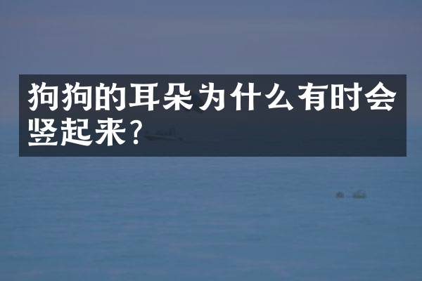 狗狗的耳朵为什么有时会竖起来？