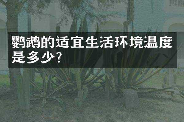 鹦鹉的适宜生活环境温度是多少？