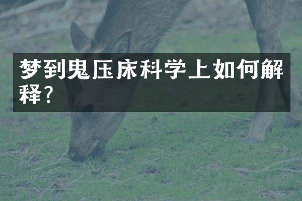 梦到鬼压床科学上如何解释？