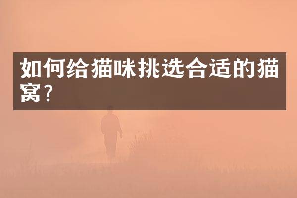 如何给猫咪挑选合适的猫窝？
