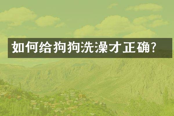 如何给狗狗洗澡才正确？