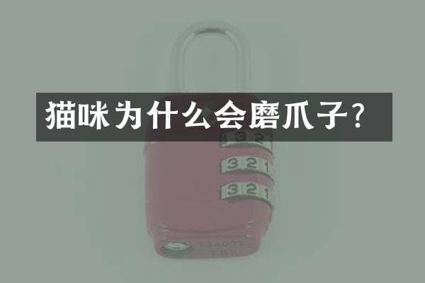 猫咪为什么会磨爪子？