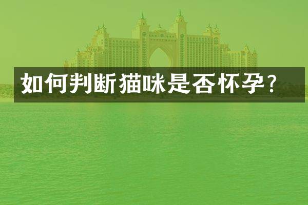 如何判断猫咪是否怀孕？