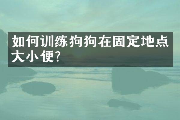 如何训练狗狗在固定地点大小便？
