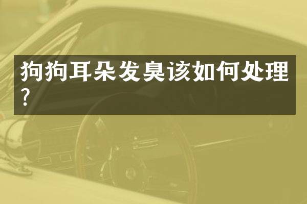 狗狗耳朵发臭该如何处理？