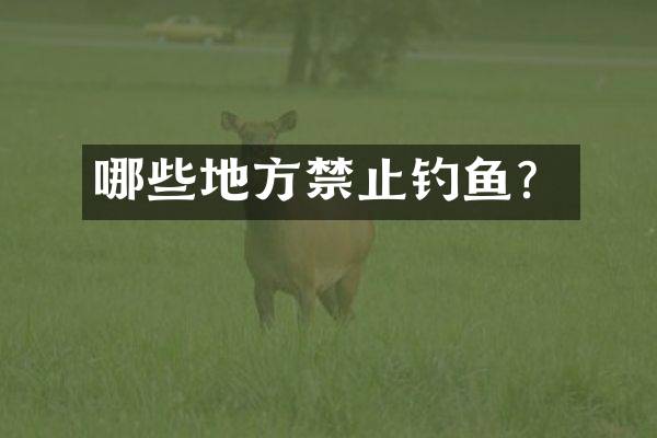 哪些地方禁止钓鱼？