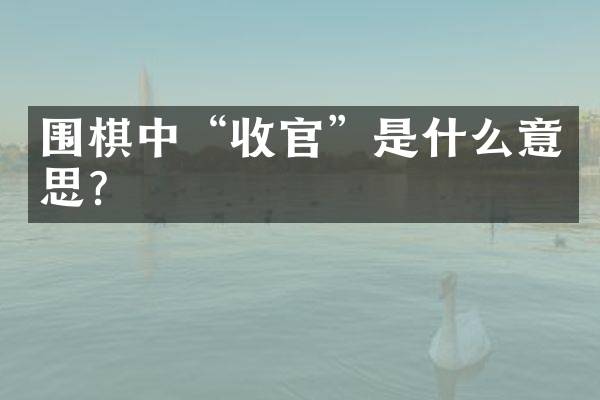 围棋中“收官”是什么意思？