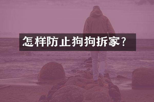 怎样防止狗狗拆家？
