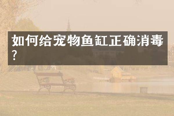 如何给宠物鱼缸正确消毒？