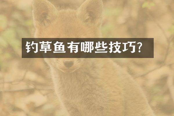 钓草鱼有哪些技巧？