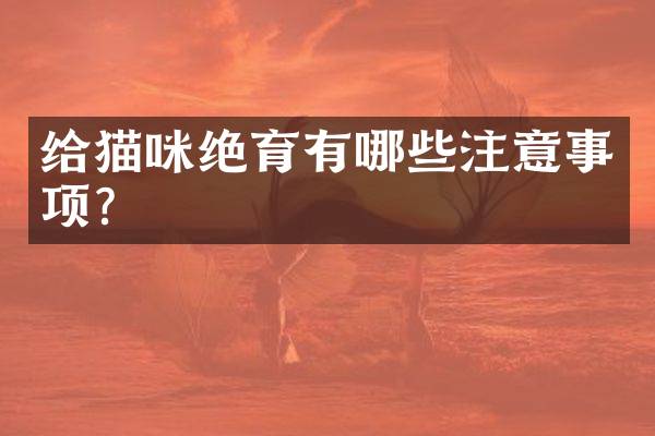 给猫咪绝育有哪些注意事项？