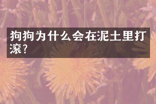 狗狗为什么会在泥土里打滚？