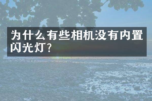 为什么有些相机没有内置闪光灯？