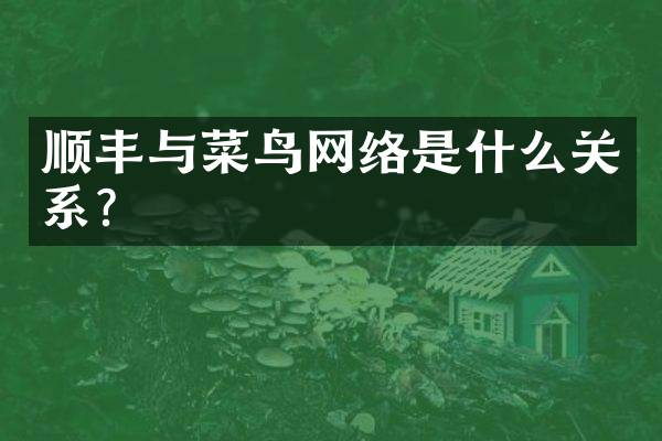 顺丰与菜鸟网络是什么关系？