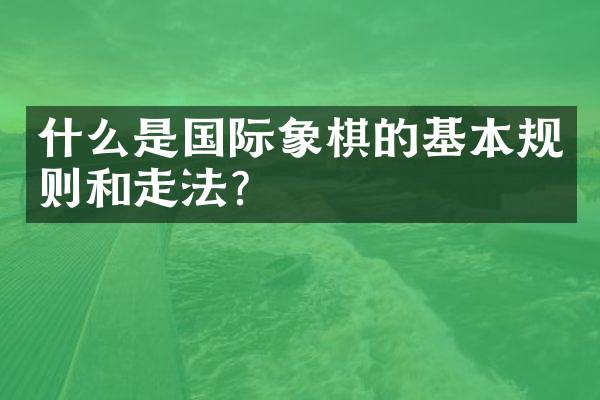 什么是国际象棋的基本规则和走法？